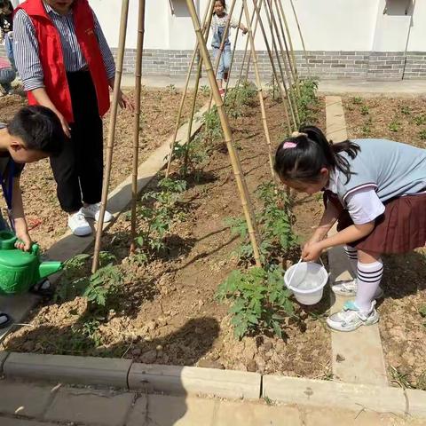 “一米阳光”，向阳而生，我们共同成长