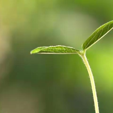 托二班四月打卡小日常