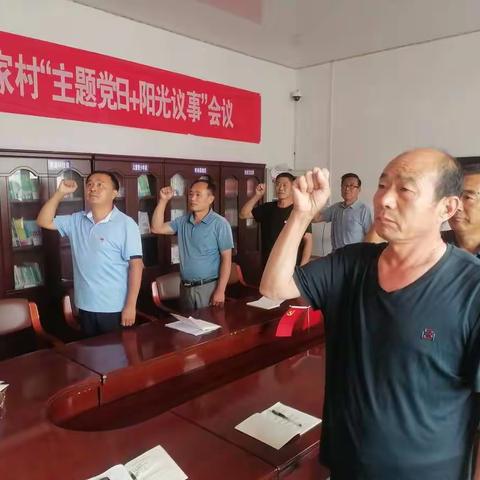 孙家村开展主题党日暨“政治生日”活动