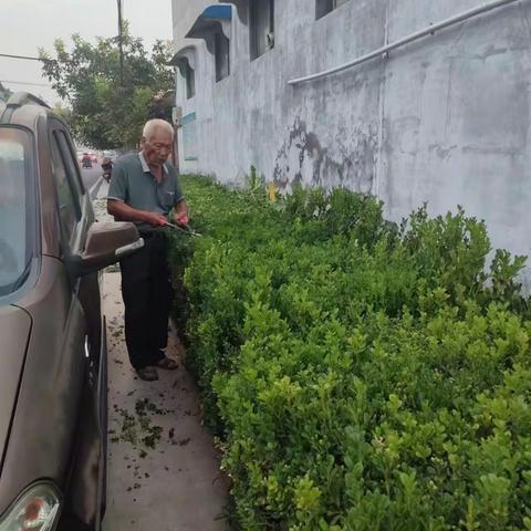 侯庄村：共建美丽乡村，共享美好生活