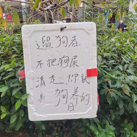 中央城市花园不文明靠牌，杂物，生活物品乱堆乱放，流动保洁不到位。