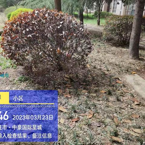 楚苑社区辖区内小区问题，请举一反三落实整改。