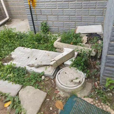金色水岸小区毁绿种菜，飞线充电，公共设施破损，小广告等。请举一反三，排查整改。
