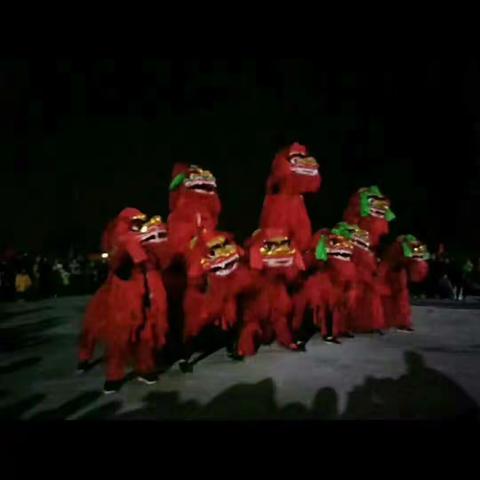 二月二，龙抬头——紫苑学子舞龙游