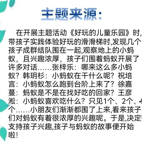 小三班班本课程分享——《嗨，蚂蚁🐜》