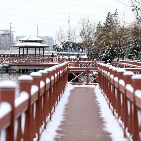 家乡的湖(外一首)