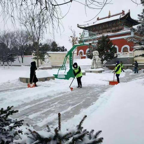 乌市住建局园林所全力清雪   保障市民出行游玩安全