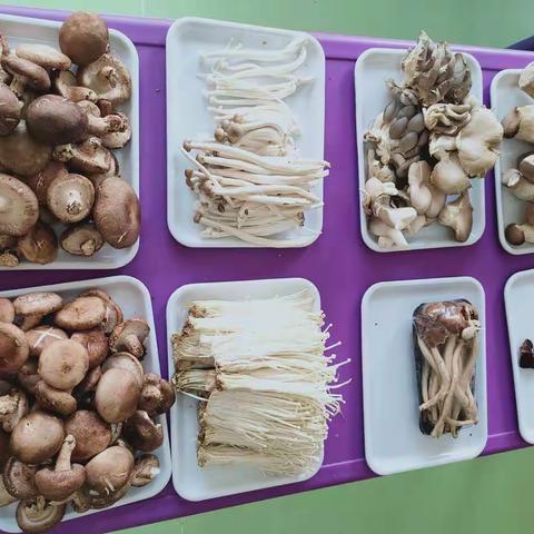 姝含国学幼儿园仁宝二班一周精彩回顾