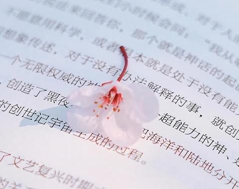 【吟诗表作】《七绝-最是书香能致远——写在世界读书日》