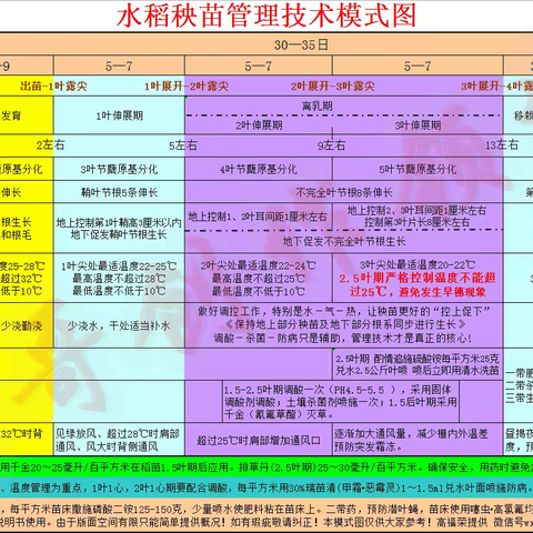 一个芽，包含了鞘叶、不完全叶、第一、二叶的生长点