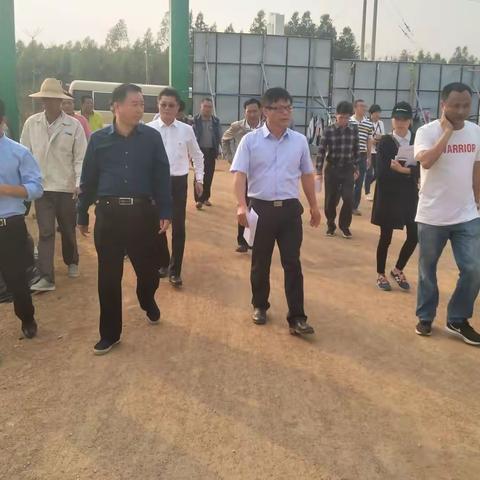 省农业厅厅长许云到乌烈镇进行调研