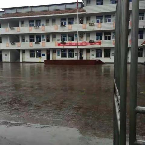 家家乐幼儿园学前班参观逸夫小学活动