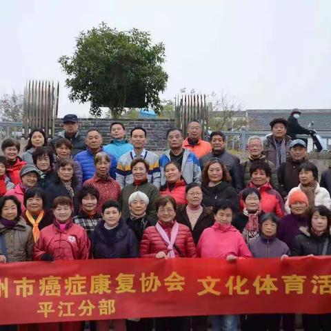 苏州市癌症康复协会2020年平江分部(东园)户外文体活动