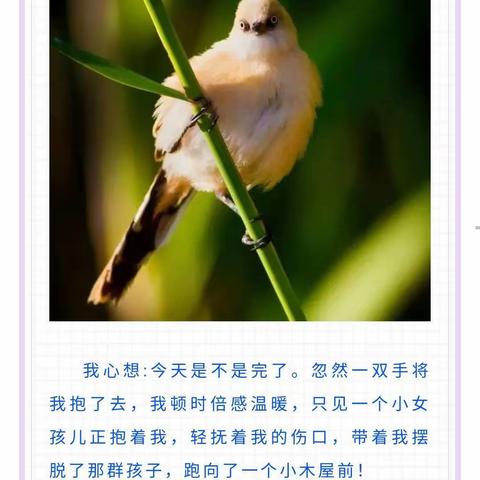 真诚沟通，陪伴成长——阿阳小学六年八班家长会侧记