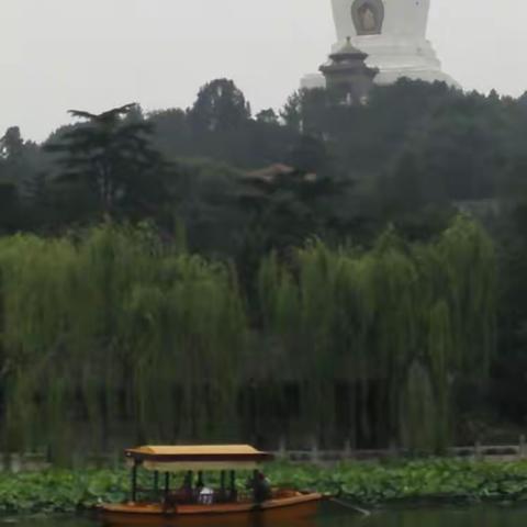 雨后皇苑闲走随拍