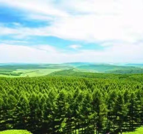 千金春光一刻 共写绿色的故事