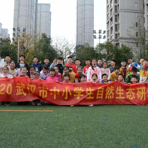 我和湿地的鸟类有个约会——武汉红领巾学校CBD