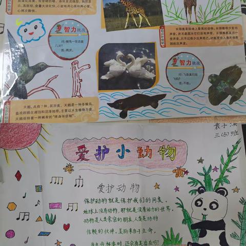 “ 保护动物，善待动物”  世界动物日                              ———红领巾学校CBD校区