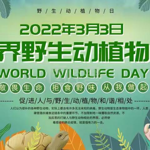 “关注旗舰物种保护 推进美丽中国建设”世界野生动植物日———红领巾学校CBD校区