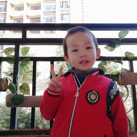 盛邦珑湖幼儿园大一班刘书衍成长记录