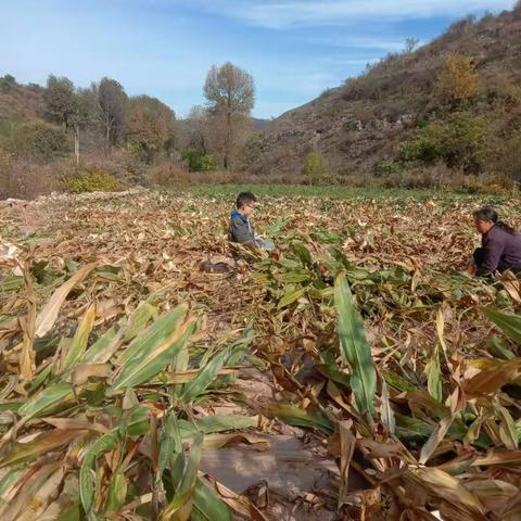 举天同庆    双节快乐！