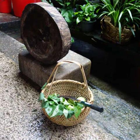 福建冠豸山~培田古村落~4~