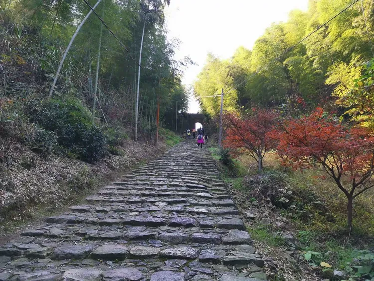 江山寻梦，仙霞探险