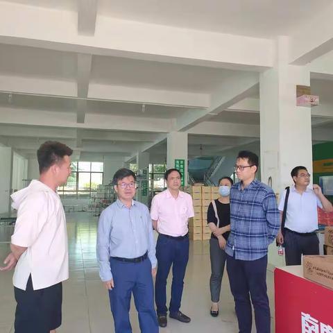 市人社局局长王光才一行到崖州区南鹿莲雾基地调研