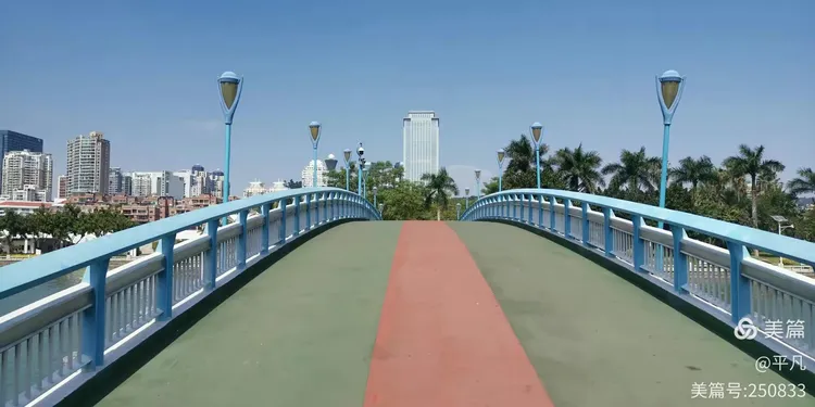 福建三角梅之乡是哪里