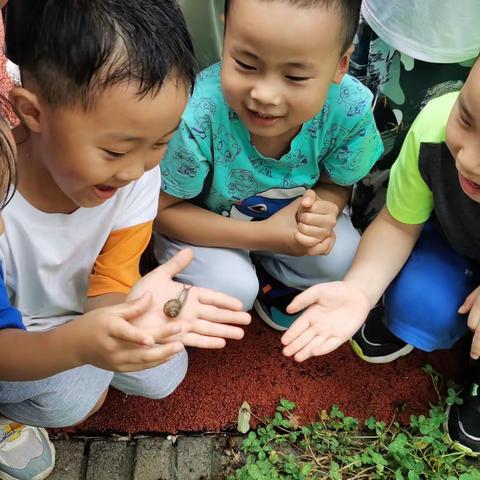 雨后夏日，又见自然——长清区实验幼儿园（集团）原香溪谷园中三班雨后户外探索活动