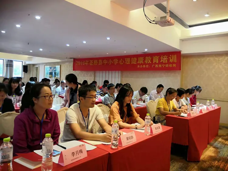 2019年心理健康培训