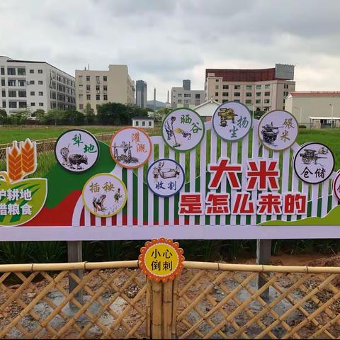心若向阳，何惧风雨？！