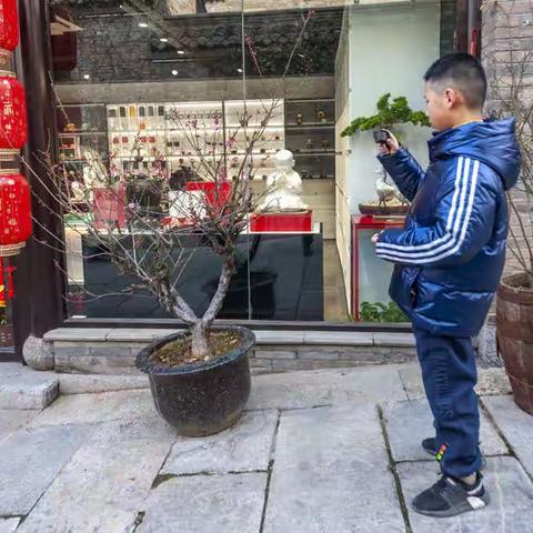 《福虎临门》