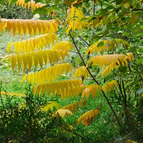 听《西方哲学史》所得