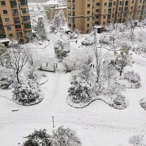 除冰铲雪公益活动