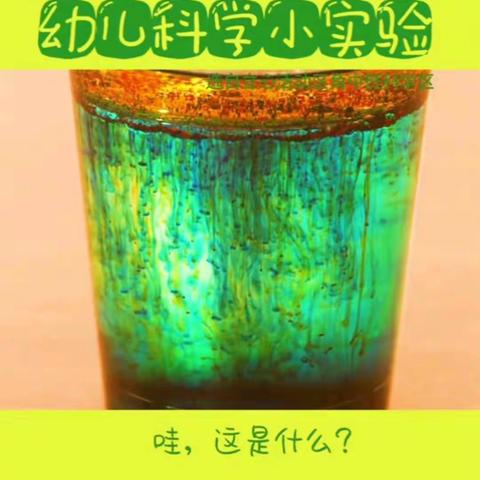 停课不停学第十一期