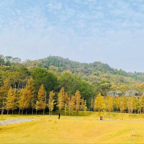 登高望秋结情谊  挥笔丹青展风采——宜昌高新区、点军区秋季中小学美术教师绘画沙龙活动