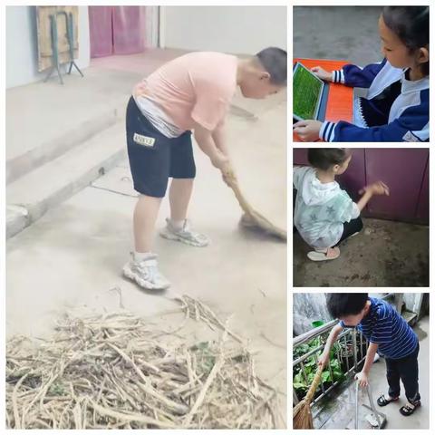 体验劳动，学会感恩——槐芽镇中心小学四年级1班劳动实践