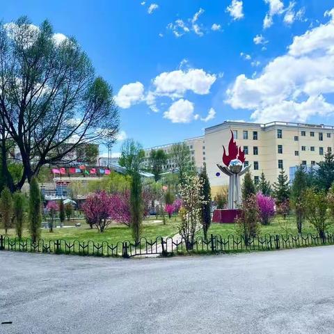   Review的美篇