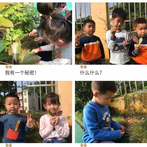 给大树爷爷换新衣——庄口中心幼儿园大一班美术活动