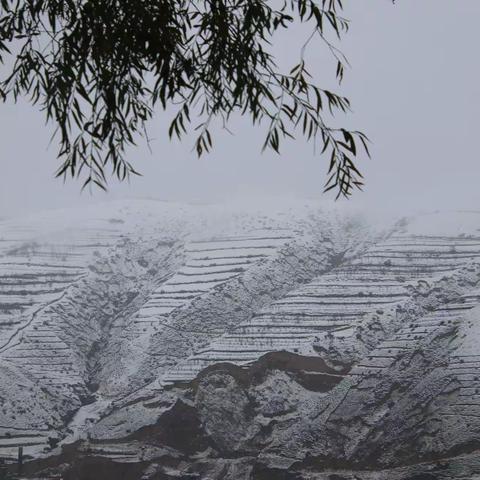 十月雪