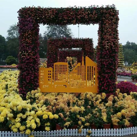 武汉江滩2016年菊展与江滩秋景