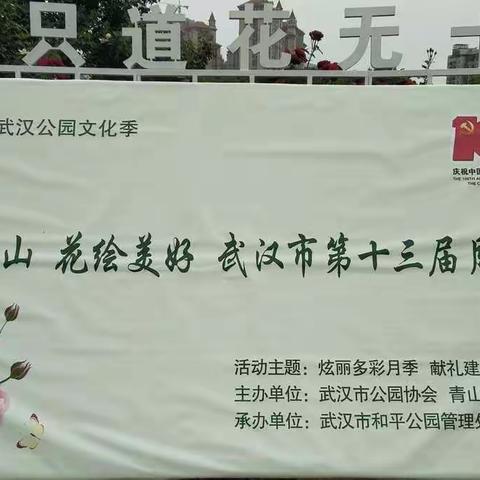 武汉市第13届月季展