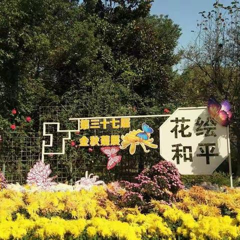 金秋金菊 花绘和平