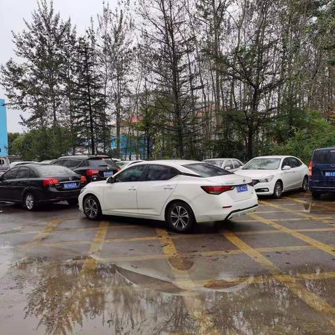 10月6日药物警戒科巡街问题清单