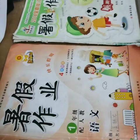 圆梦蒲公英暑期活动——品味经典图书C1803班吴俊昊