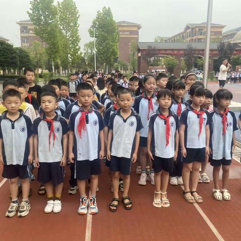 向阳而生，遇见美好