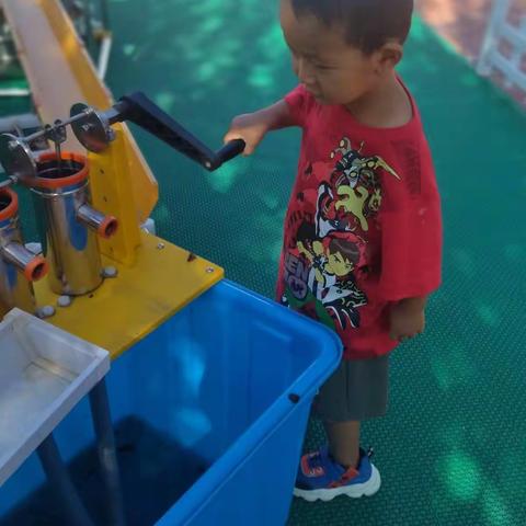 我与蟑螂的缘分