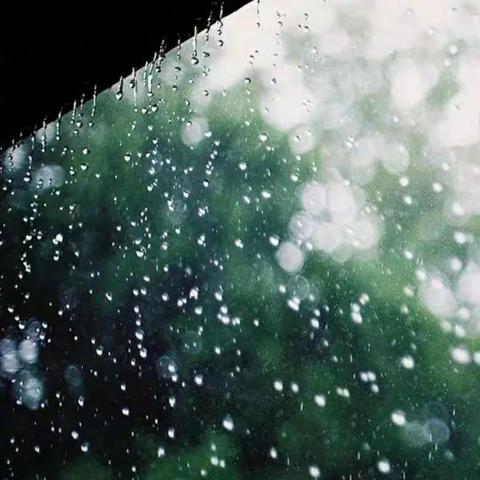 近期的雨