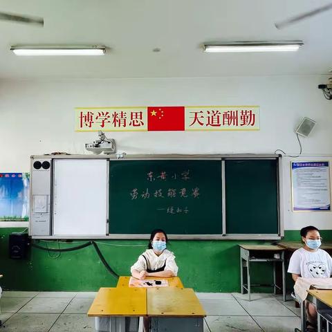 巧手展风采  劳动最光荣—任泽区邢湾学区东黄小学劳动技能竞赛